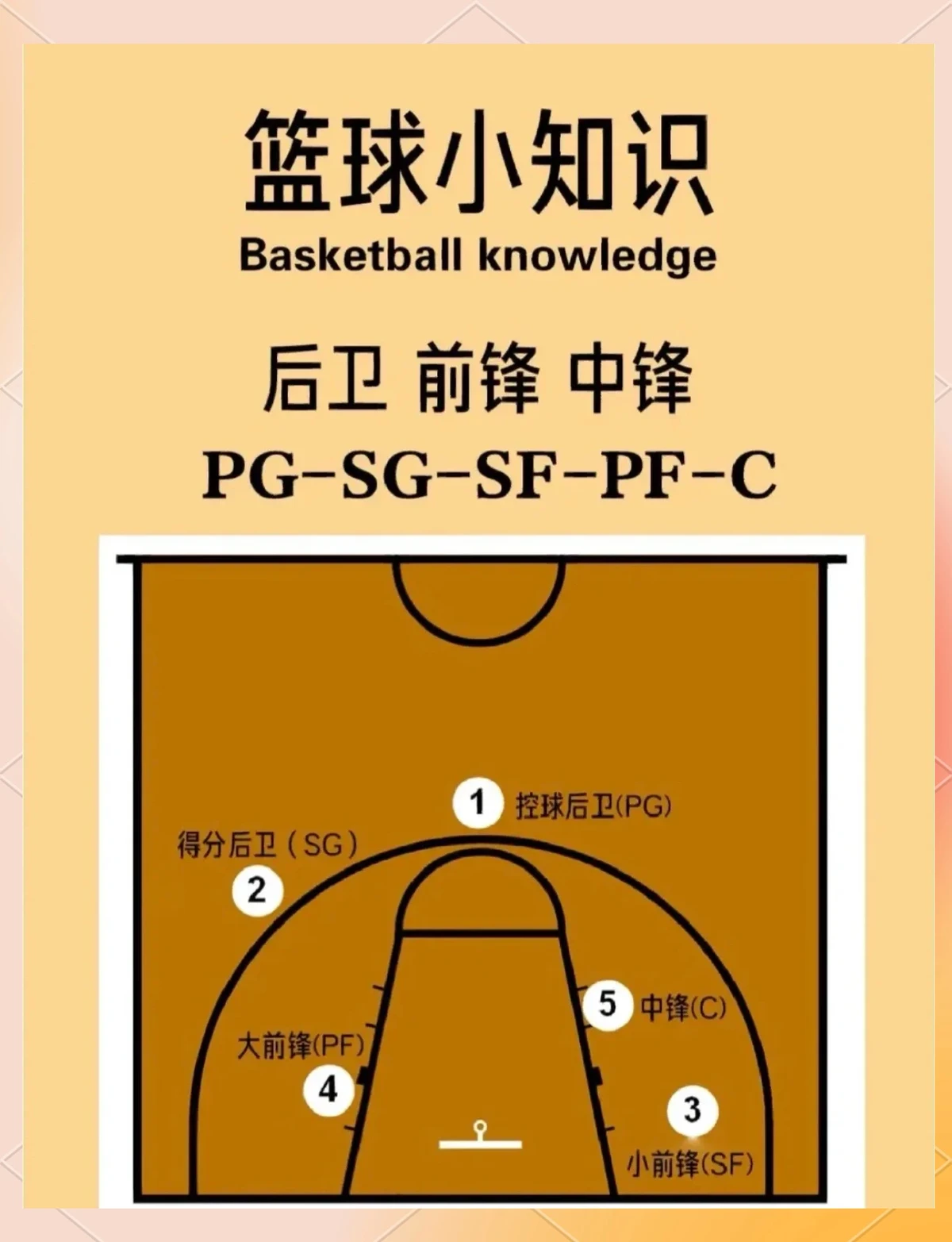 为什么篮球后卫需要特别的体能训练_2